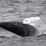 10-20-23 10am Breach